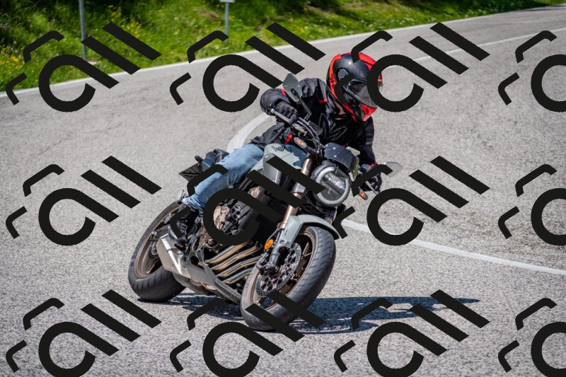 202506081246-DSC_7295_c2