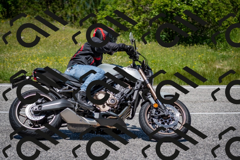 202506081246-DSC_7297_c2