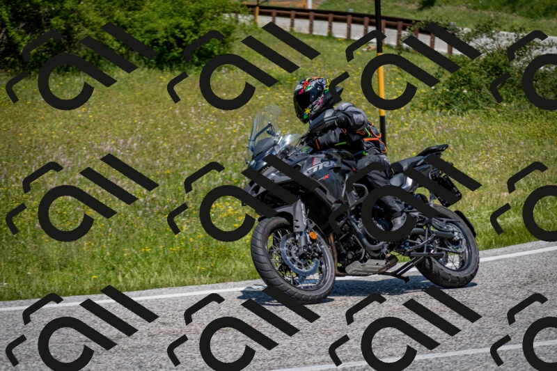 202506081246-DSC_7301_c2