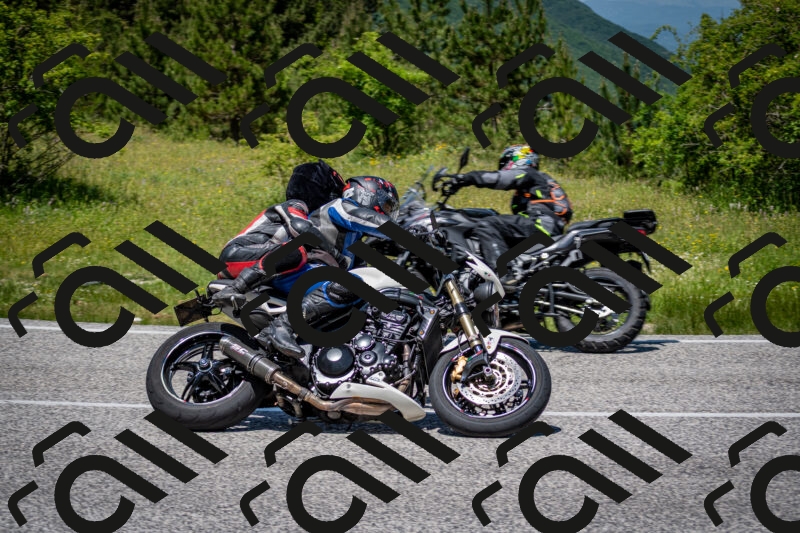 202506081246-DSC_7303_c2