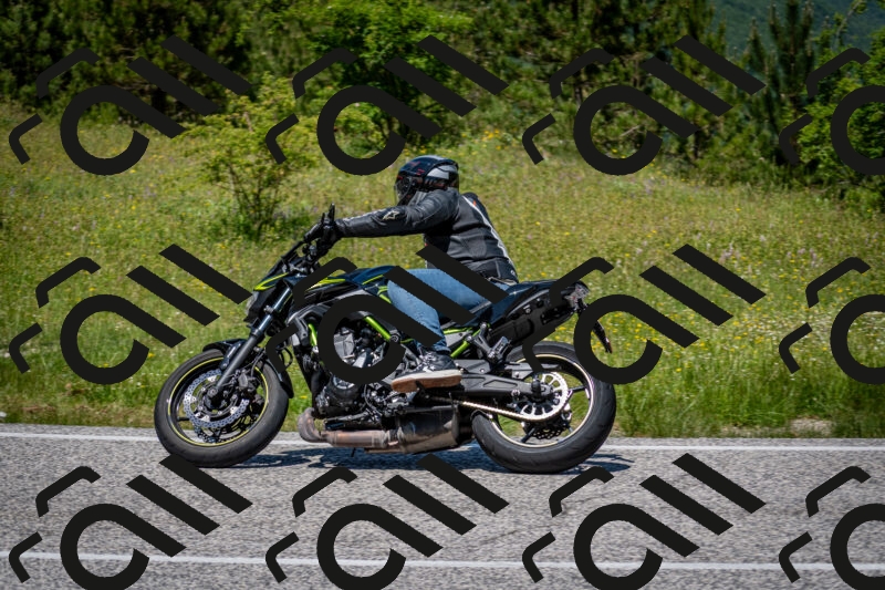 202506081246-DSC_7305_c2