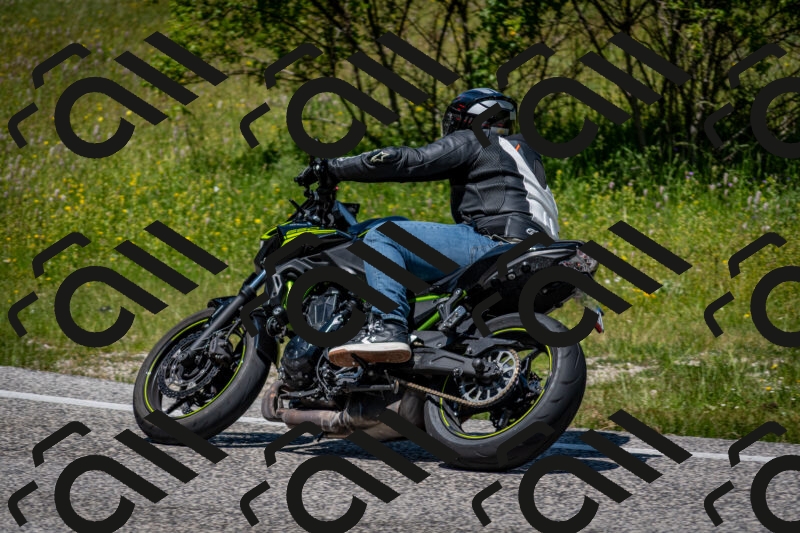 202506081246-DSC_7306_c2