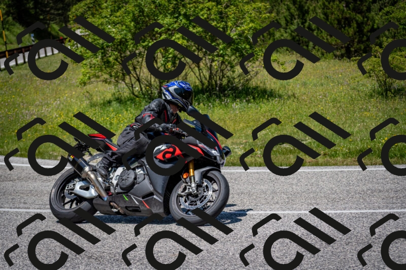 202506081247-DSC_7316_c2