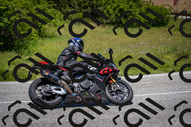 202506081247-DSC_7318_c2