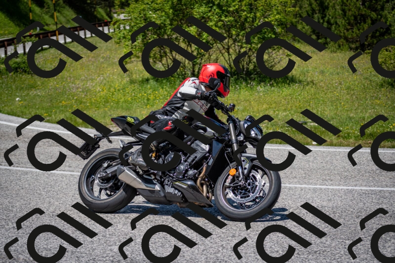 202506081247-DSC_7319_c2