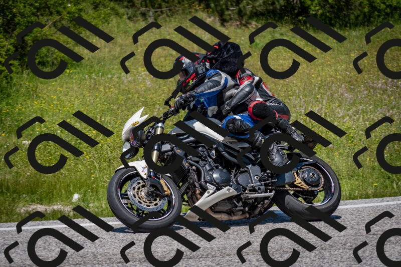 202506081250-DSC_7336_c2