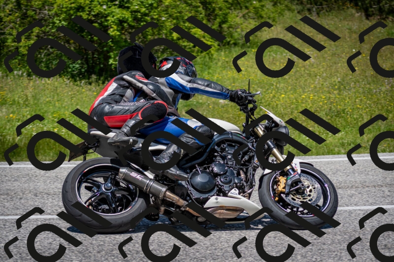 202506081251-DSC_7340_c2