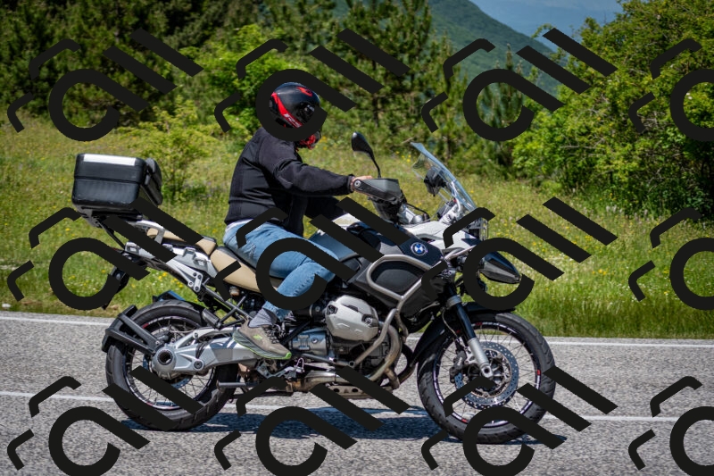 202506081253-DSC_7379_c2