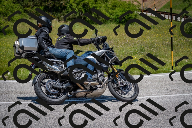 202506081253-DSC_7383_c2