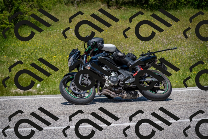 202506081254-DSC_7395_c2