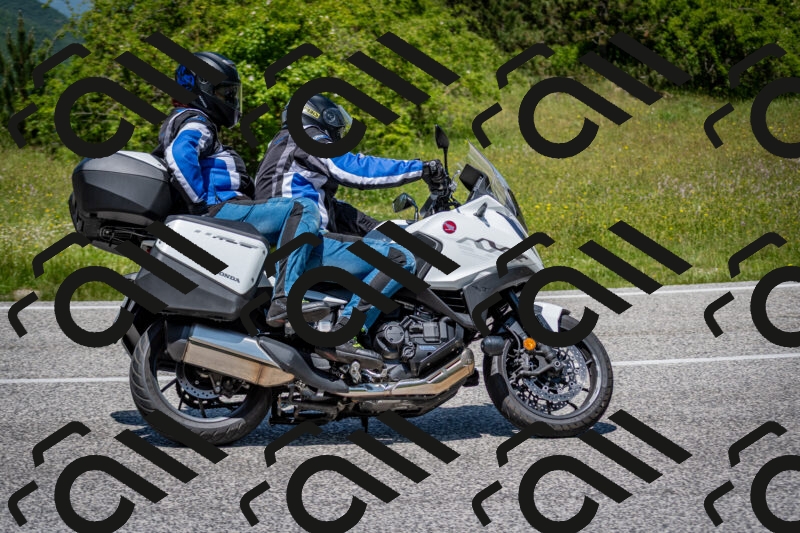 202506081256-DSC_7430_c2