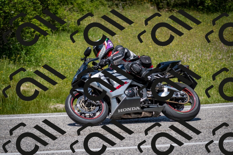 202506081259-DSC_7464_c2