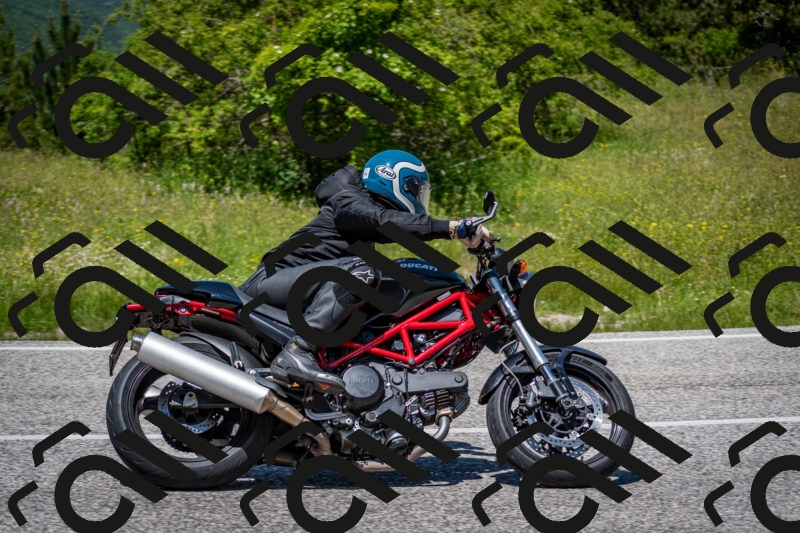 202506081302-DSC_7487_c2