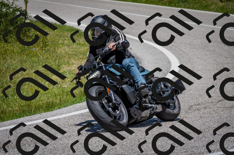 202506081303-DSC_7494_c2