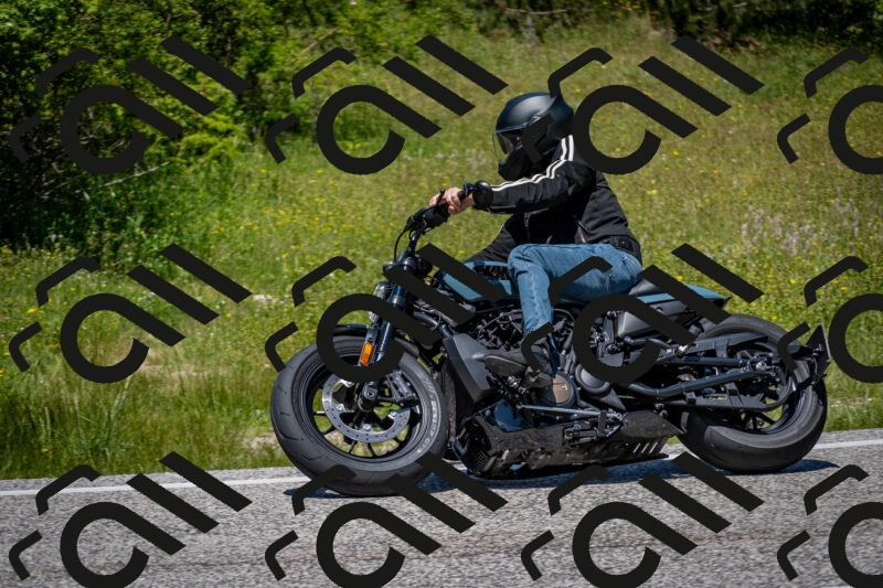 202506081303-DSC_7495_c2