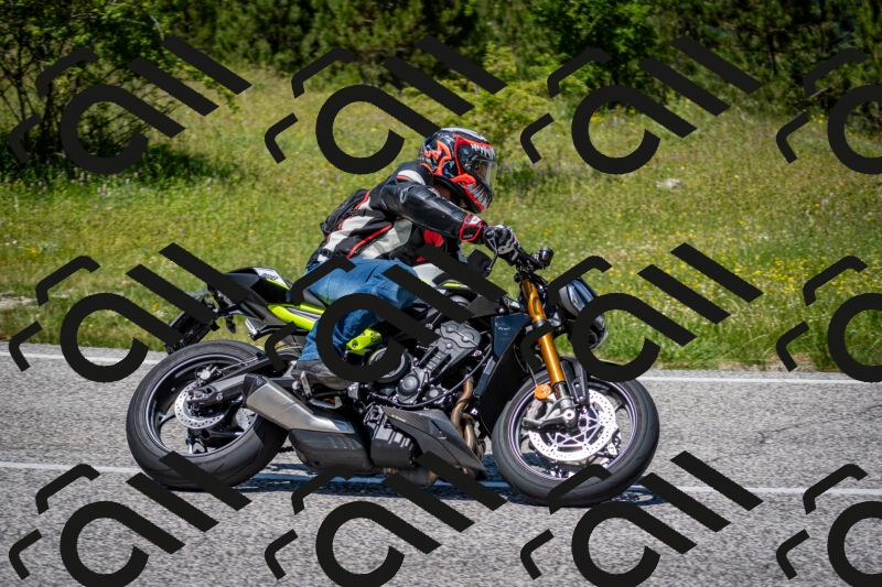 202506081307-DSC_7498_c2