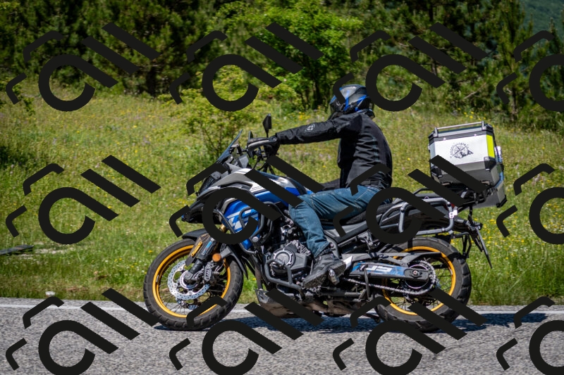 202506081309-DSC_7512_c2