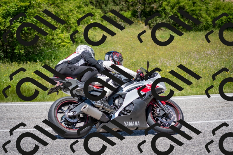 202506081310-DSC_7517_c2