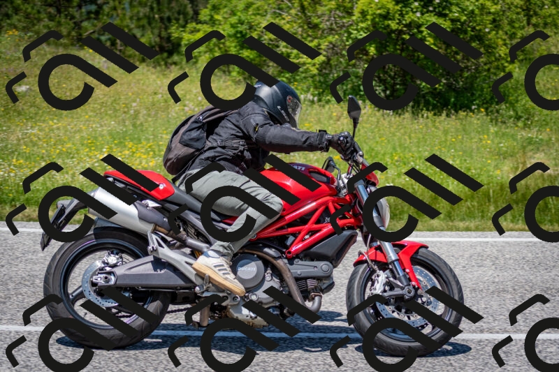 202506081317-DSC_7550_c2