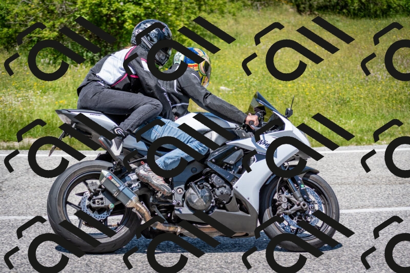 202506081317-DSC_7553_c2