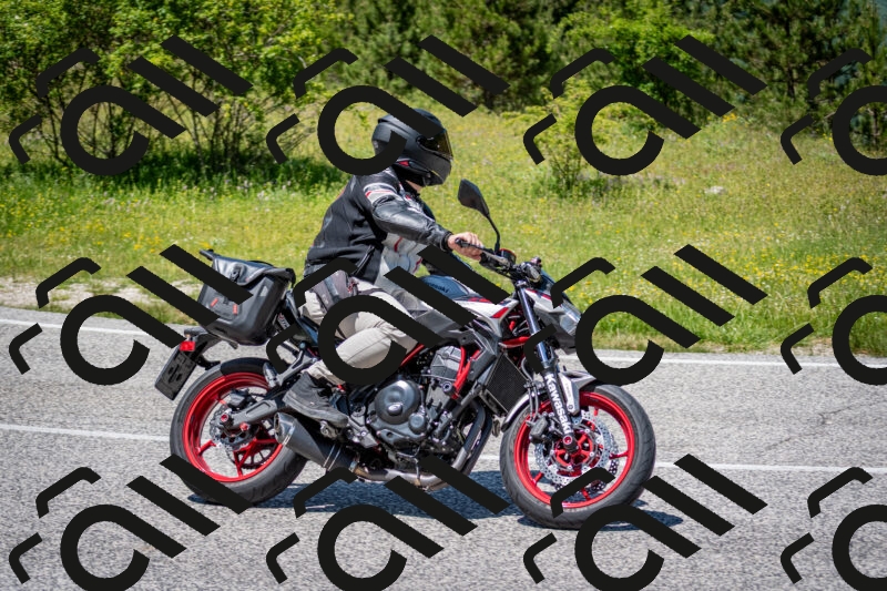 202506081319-DSC_7562_c2