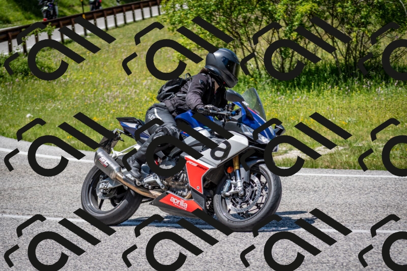 202506081320-DSC_7572_c2