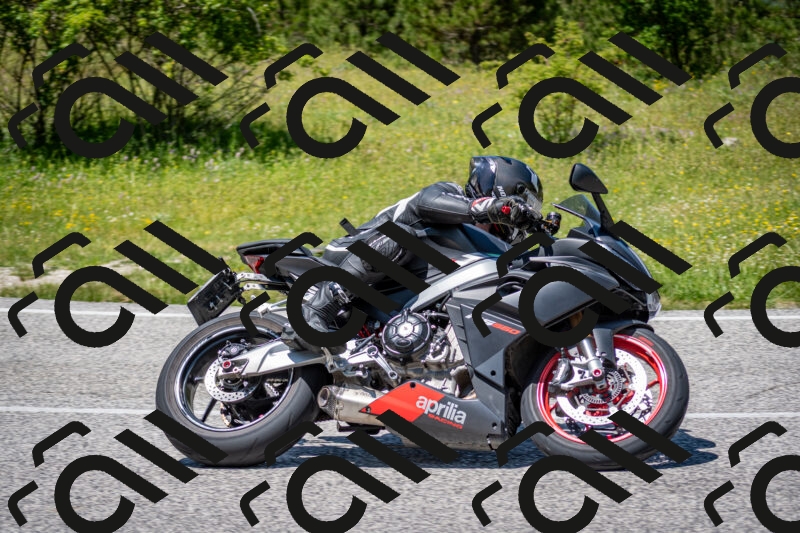 202506081320-DSC_7578_c2