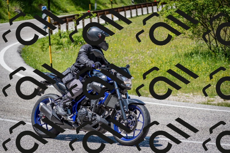 202506081320-DSC_7595_c2