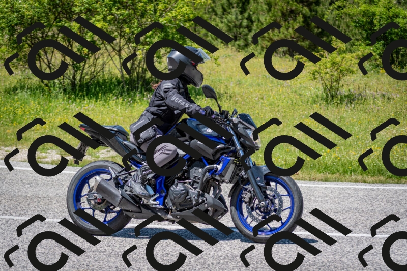 202506081320-DSC_7596_c2