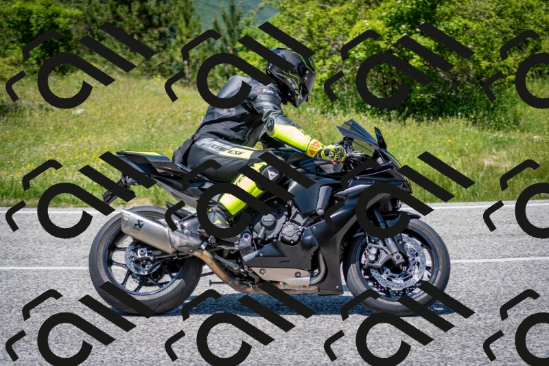 202506081320-DSC_7599_c2