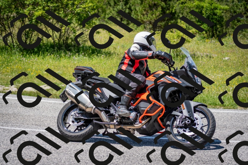 202506081323-DSC_7631_c2