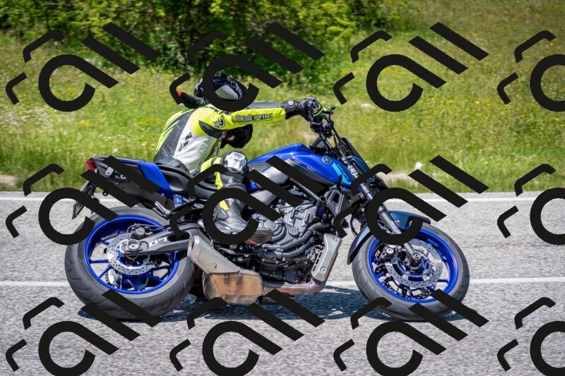 202506081331-DSC_7699_c2