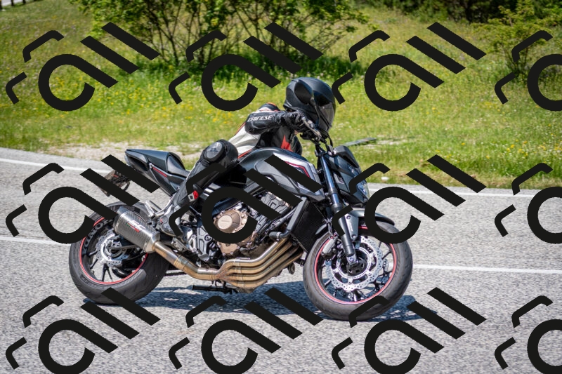 202506081331-DSC_7704_c2