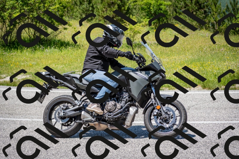 202506081331-DSC_7707_c2