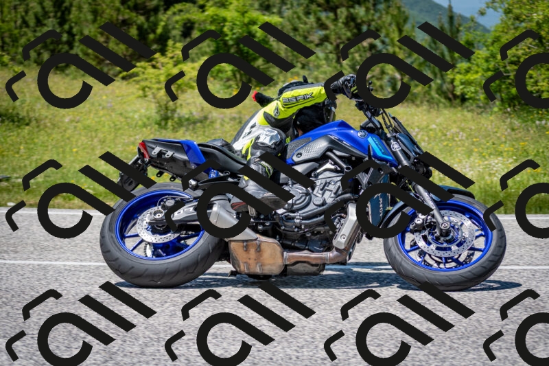 202506081333-DSC_7724_c2