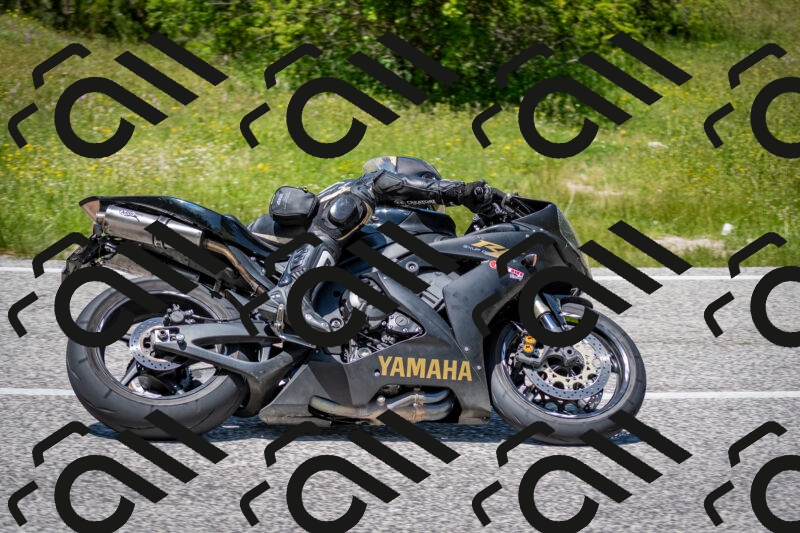 202506081333-DSC_7729_c2