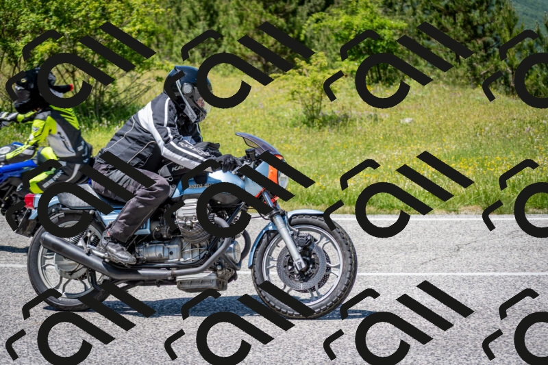 202506081334-DSC_7735_c2