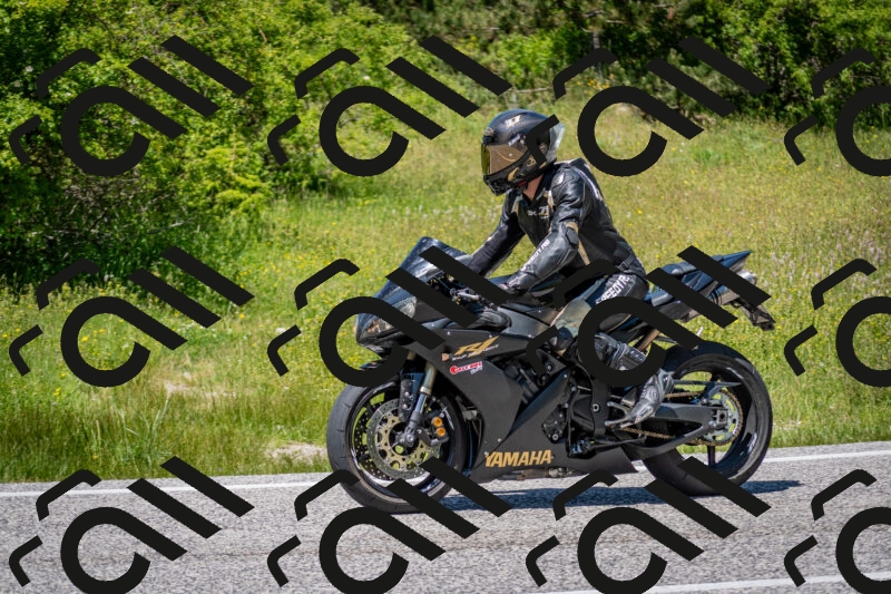 202506081334-DSC_7736_c2