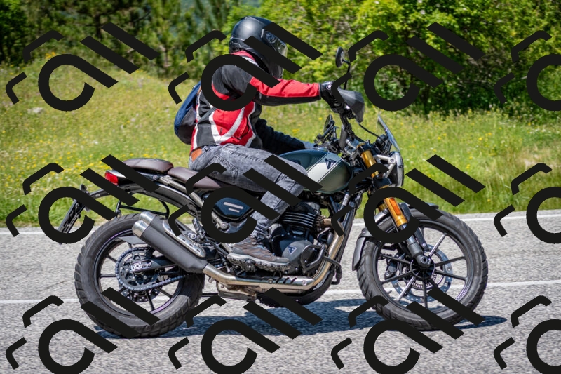 202506081336-DSC_7741_c2