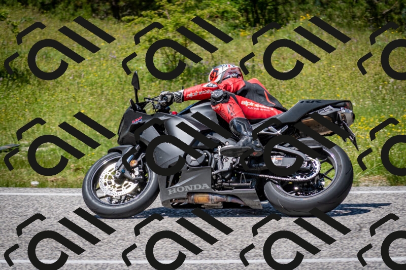 202506081336-DSC_7748_c2