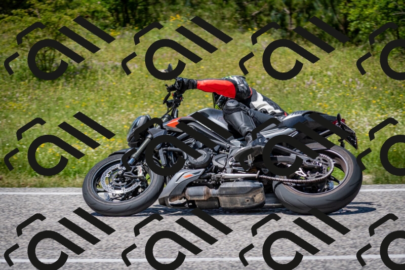 202506081336-DSC_7750_c2