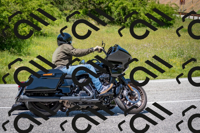 202506081342-DSC_7775_c2