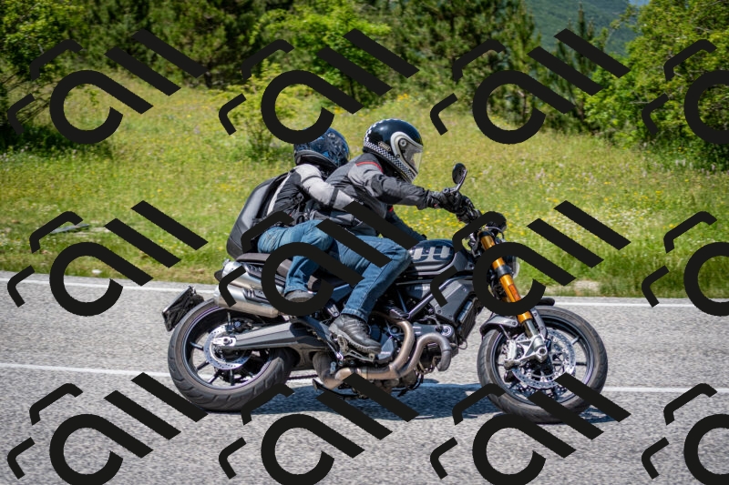 202506081344-DSC_7783_c2