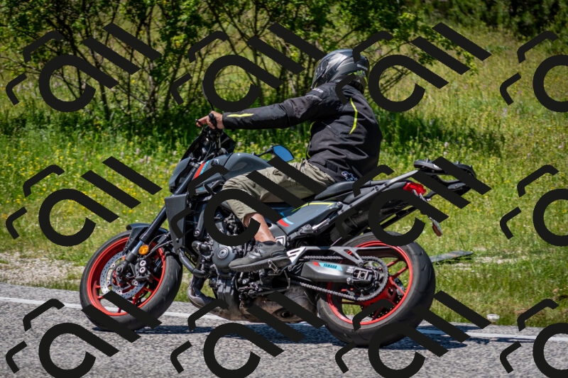 202506081346-DSC_7805_c2