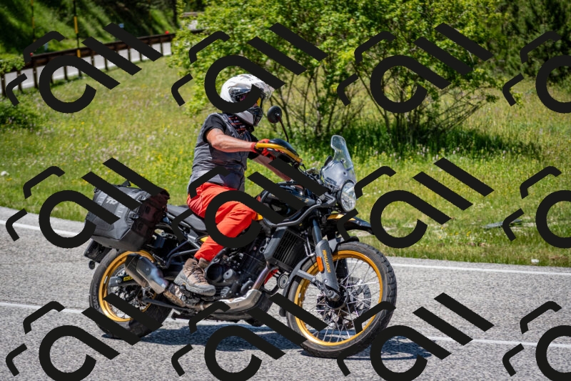 202506081348-DSC_7816_c2