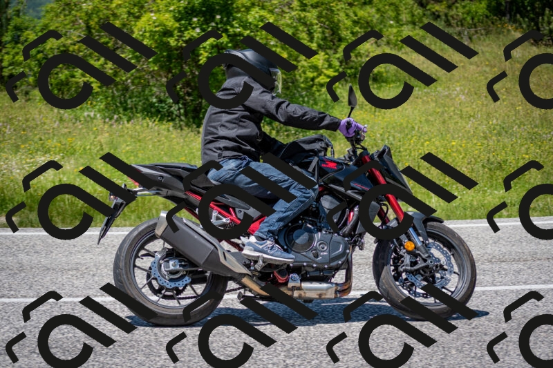 202506081348-DSC_7822_c2