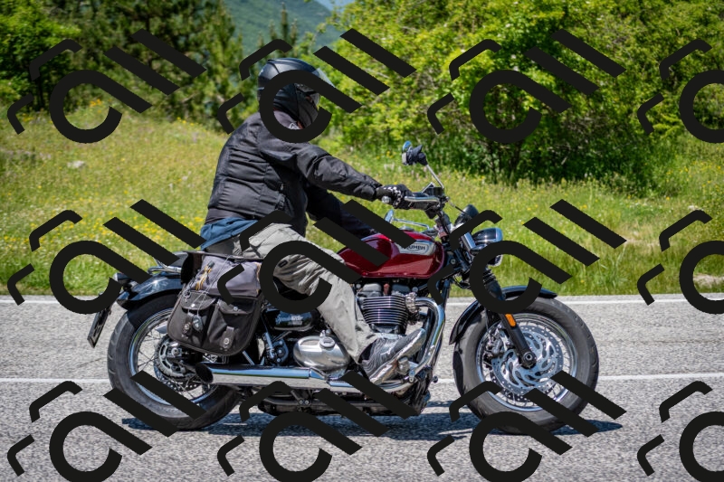 202506081348-DSC_7827_c2