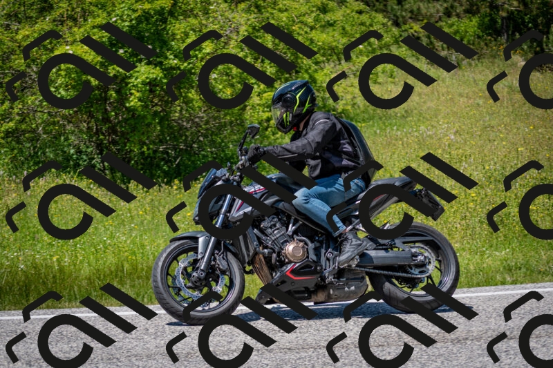 202506081349-DSC_7832_c2