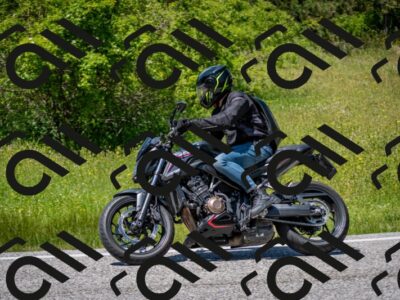 202506081349-DSC_7832_c2