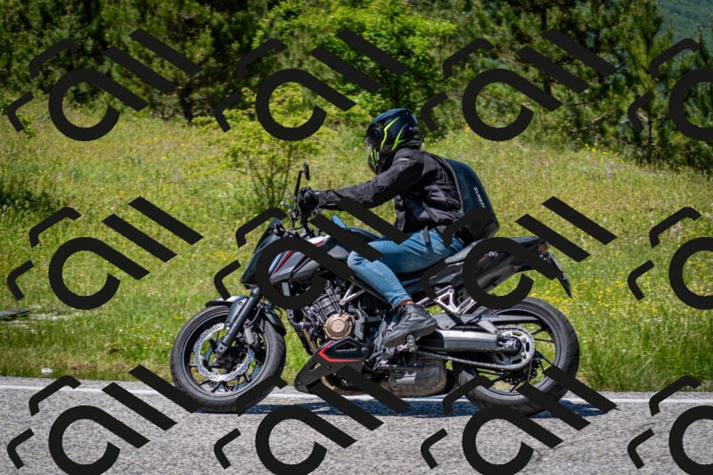 202506081349-DSC_7833_c2